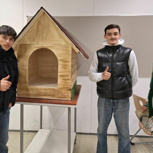 Projektarbeit der W9er