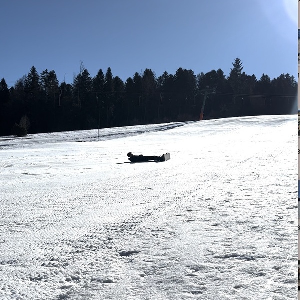Sonne-Schnee-Snowboards-Schlitten-Schlittschuhe-Schwimmen