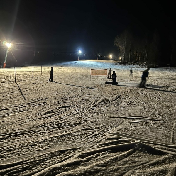 Sonne-Schnee-Snowboards-Schlitten-Schlittschuhe-Schwimmen