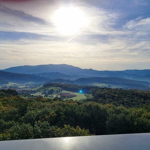 Wanderung zum Eichbergturm