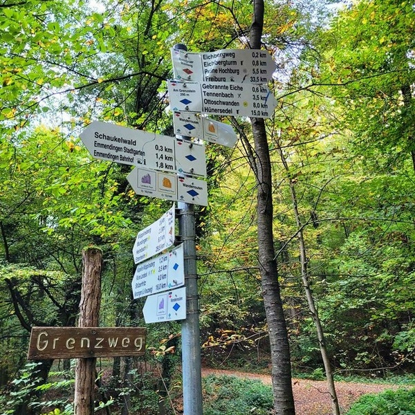 Wanderung zum Eichbergturm
