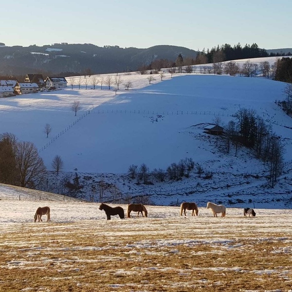 Schnee in St. Peter
