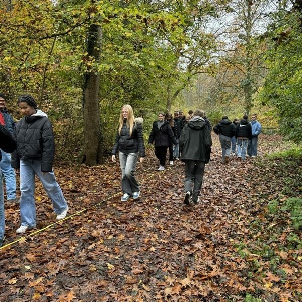 WALD und Klima