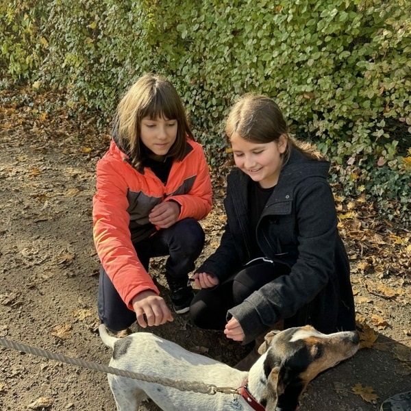 Canis lupus familiaris