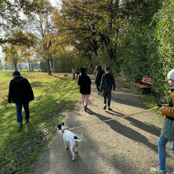 Canis lupus familiaris