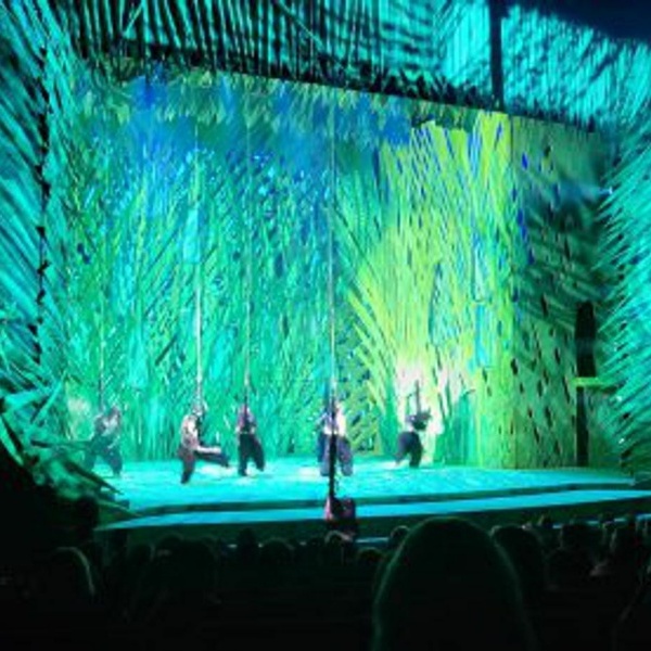 Musical Tarzan