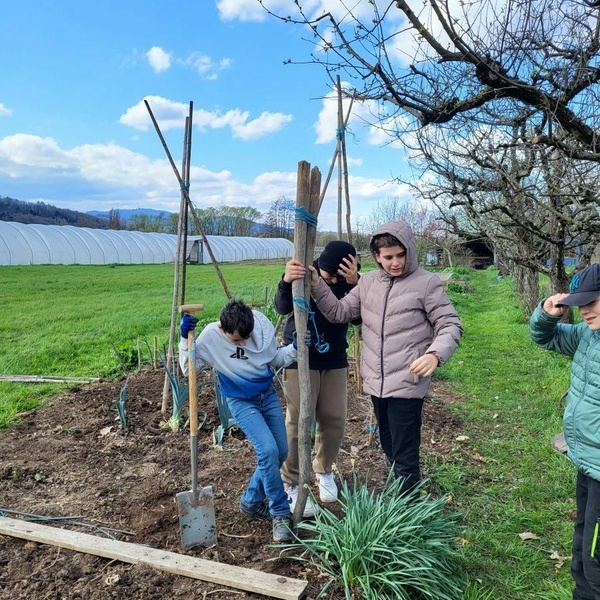 Gartenprojekt