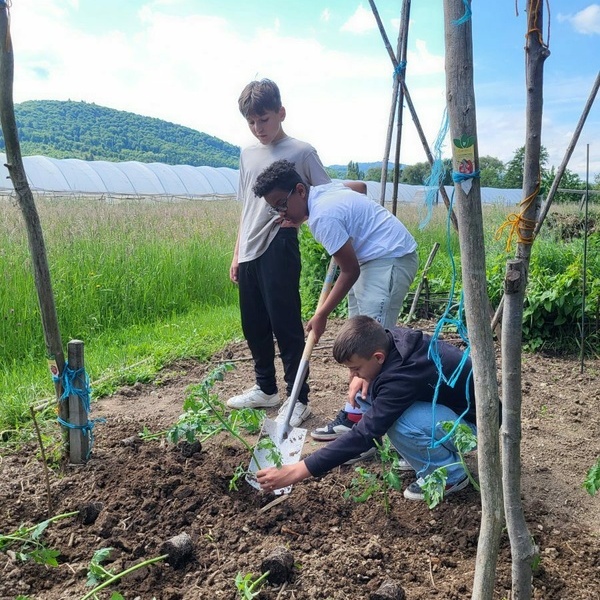 Gartenprojekt