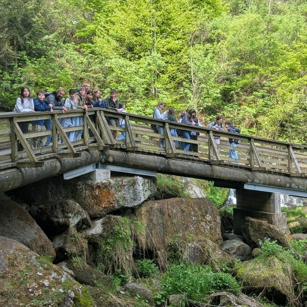 Polenaustausch